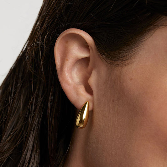 PDPaola Sugar AR01-881-U