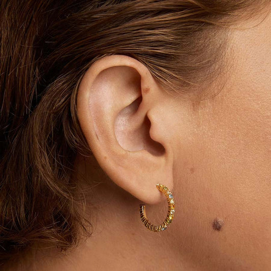 PDPaola Rainbow AR01-B96-U