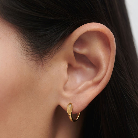 PDPaola Isla AR01-E48-U