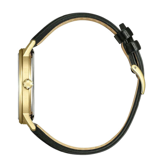 Citizen Sports Eco-Drive BM6756-01A