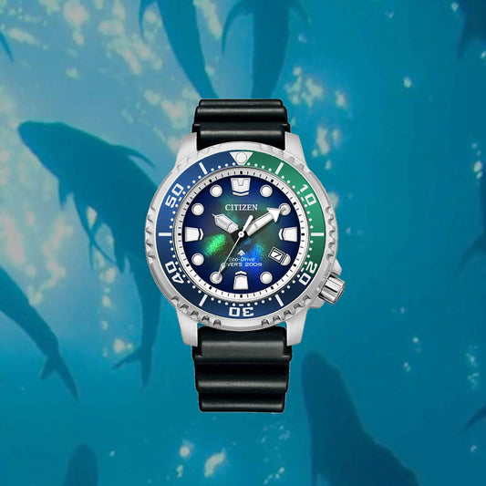 Citizen Promaster Eco-Drive BN0166-01L