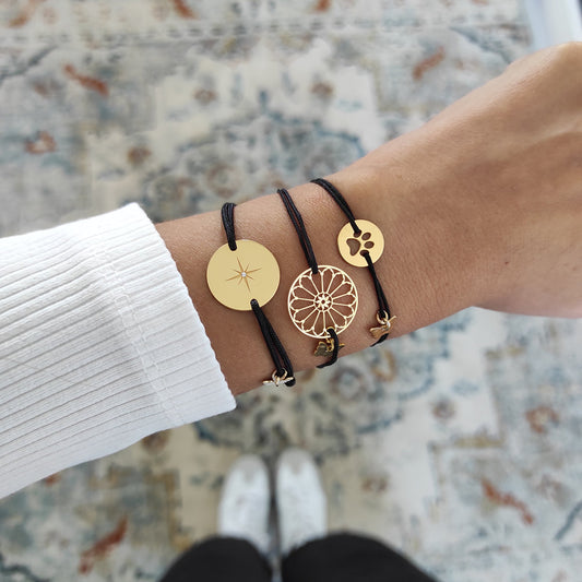 Borboleta My Little Paw CC-BK-MLP