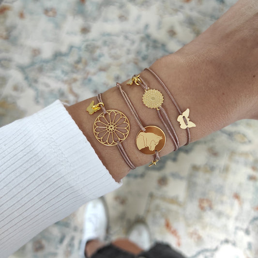 Borboleta Dubrovnik CC-MC-DR