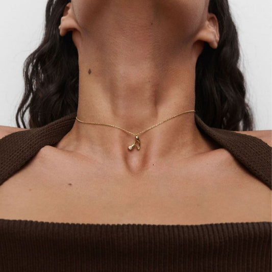 PDPaola Letter CO01-B74-U