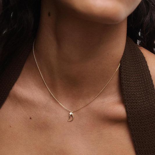 PDPaola Letter CO01-B77-U