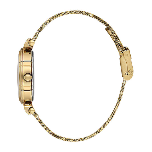 Daniel Klein DK113966-4