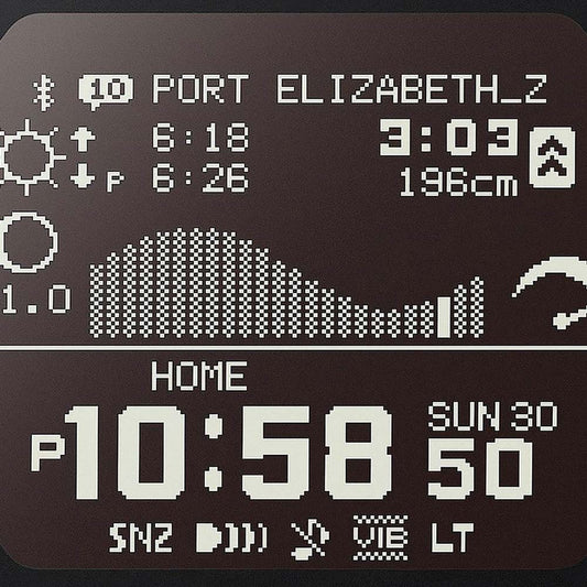 Casio G-Shock GBX-100S-2ER