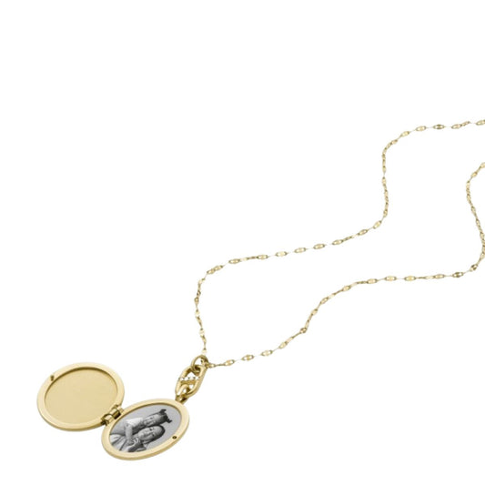 Fossil Heritage JF04426710