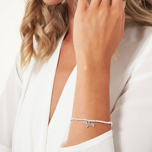 Joma Jewellery Pets JJ3472