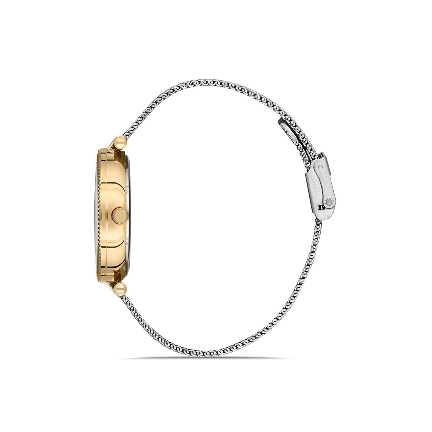 Santa Barbara SB110341-5