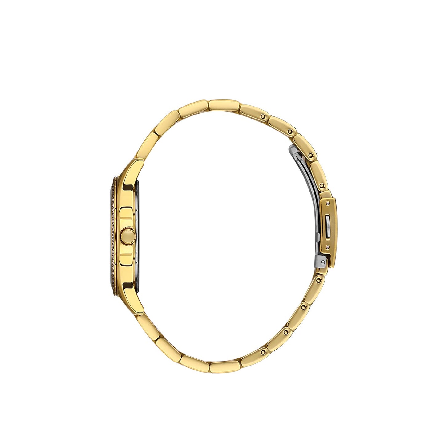 Santa Barbara SB110490-2