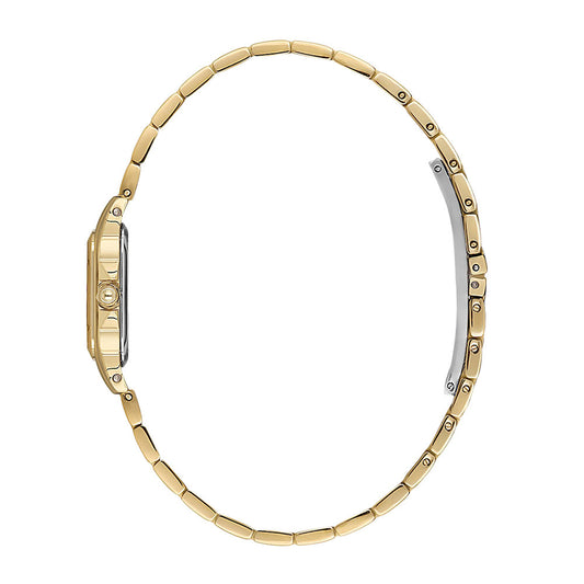 Santa Barbara SB110569-2