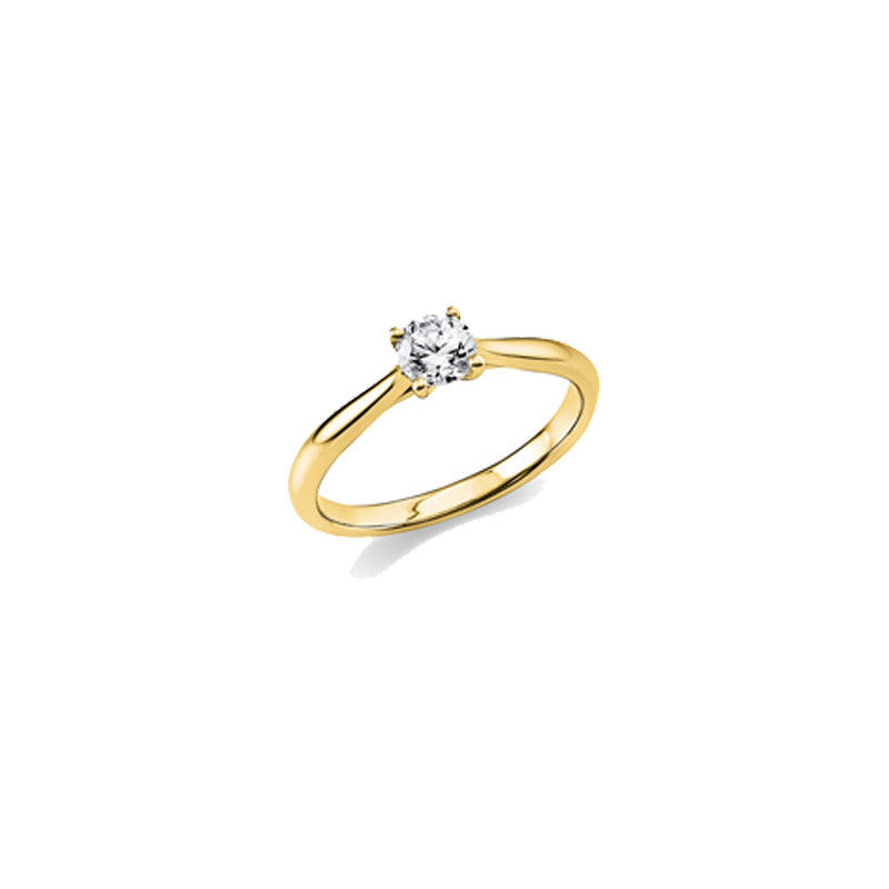 Looi & Co Ring Yellow Gold (18k) 1A292G854-14