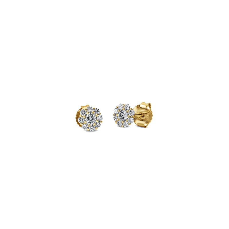 Looi & Co Earrings Yellow Gold (18k) 2M841G8-1