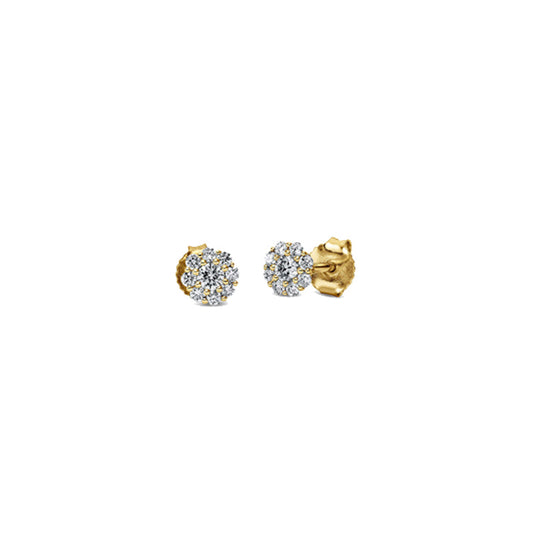 Looi & Co Earrings Yellow Gold (18k) 2M841G8-1