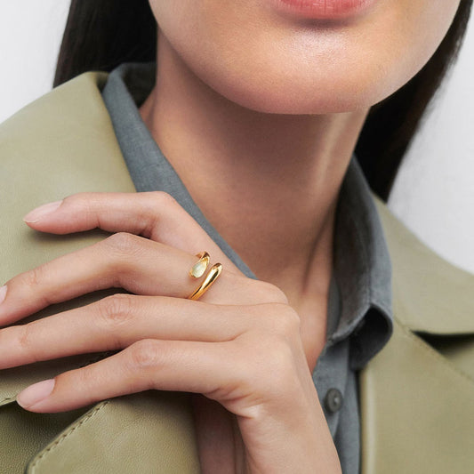 PDPaola Kalia AN01-D96-12