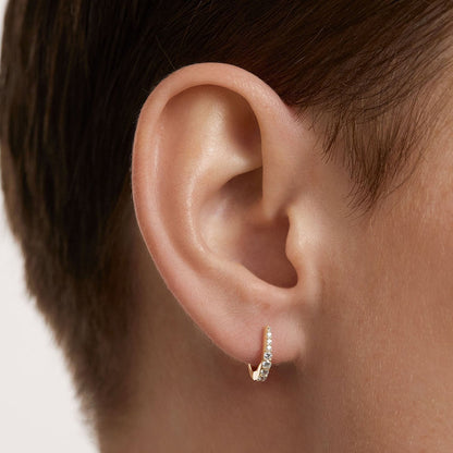 PDPaola Stare AR01-807-U