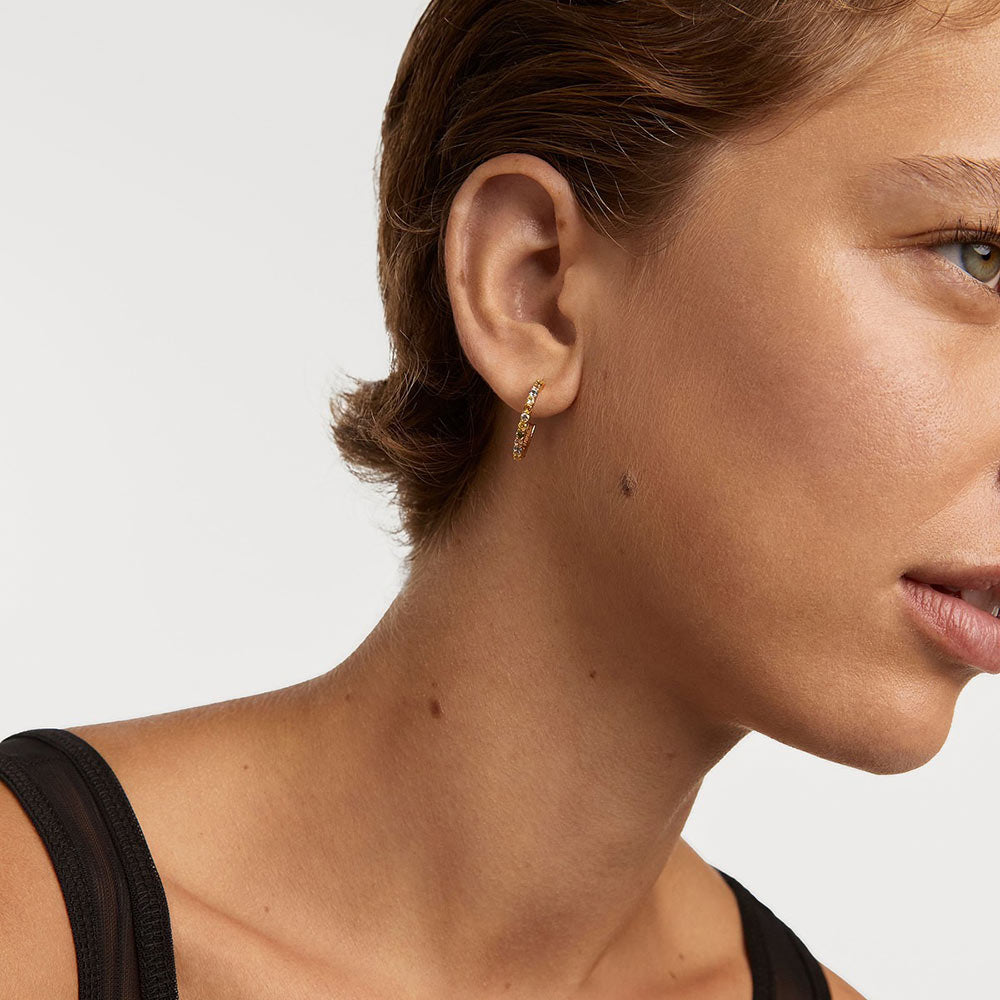 PDPaola Rainbow AR01-B96-U