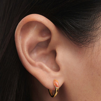 PDPaola Isla AR01-E50-U