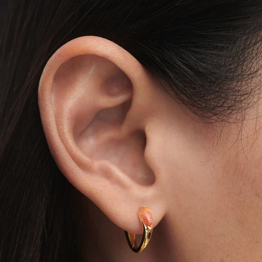 PDPaola Isla AR01-E50-U