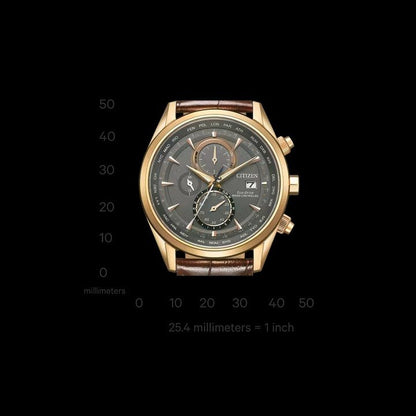 Citizen Elegant Eco-Drive AT8263-10H