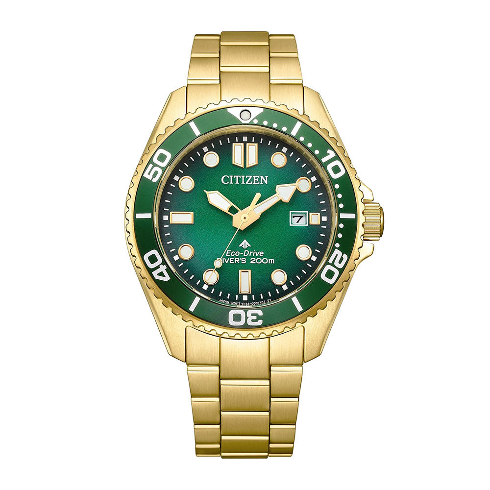 Citizen Promaster Eco-Drive Diver BN0262-59W
