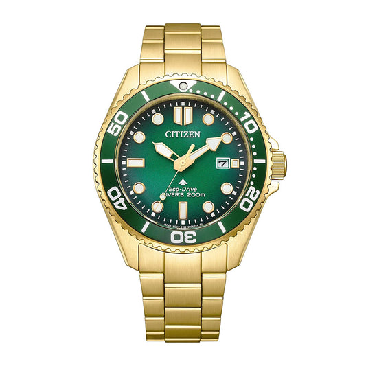 Citizen Promaster Eco-Drive Diver BN0262-59W
