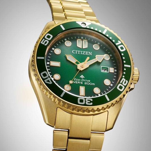 Citizen Promaster Eco-Drive Diver BN0262-59W