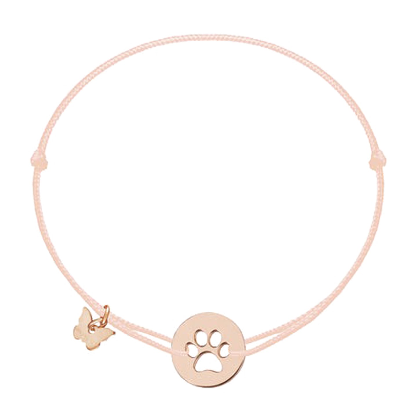 Borboleta My Little Paw CC-GI-MLP-P