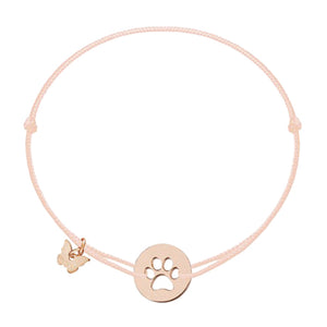 Borboleta My Little Paw CC-GI-MLP-P