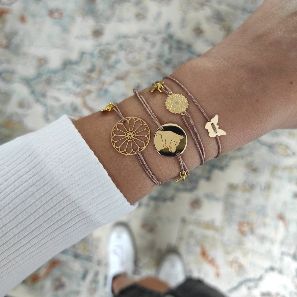 Borboleta Solar CC-MC-SO