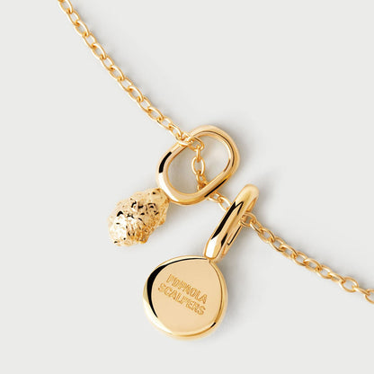 PDPaola Oasis CO01-824-U