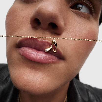 PDPaola Letter CO01-B74-U