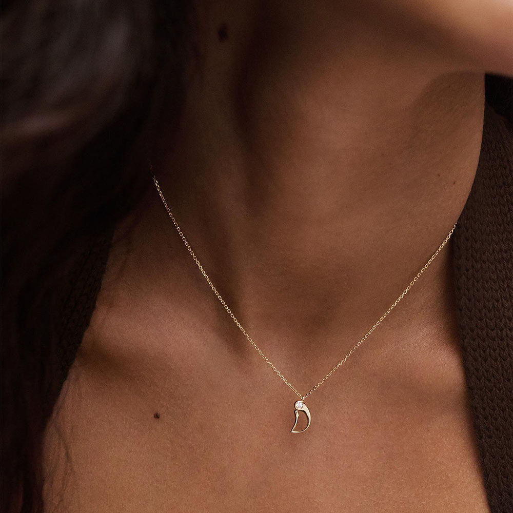 PDPaola Letter CO01-B77-U