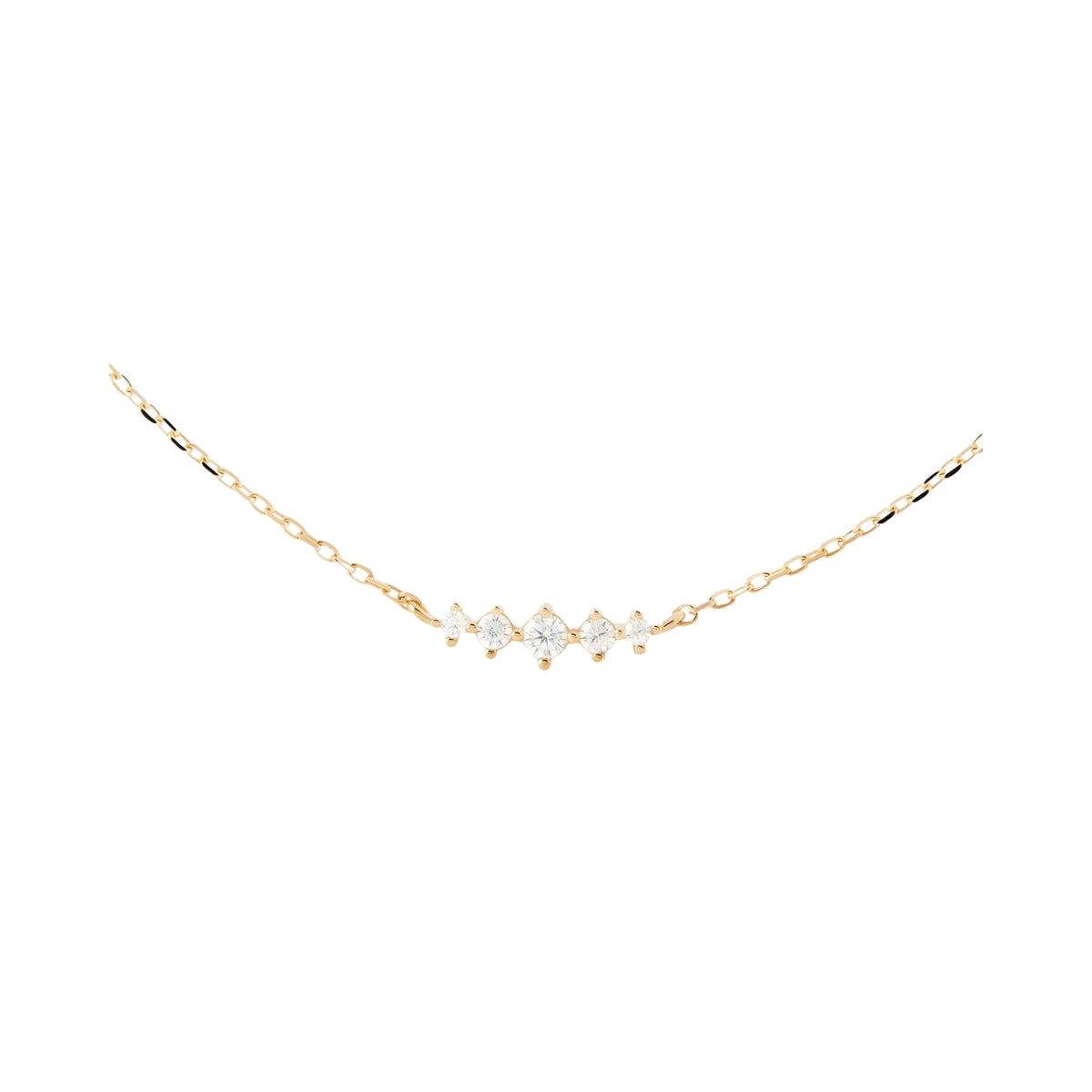 PDPaola Estela COB1-B61-U