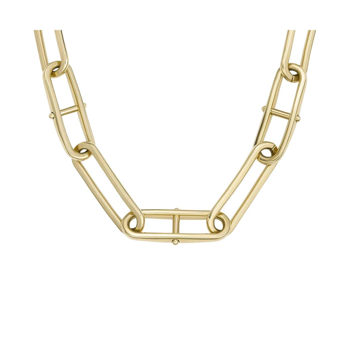 Fossil Heritage JF04102710