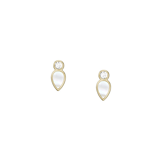 Fossil Mother Of Pearl JF04249710