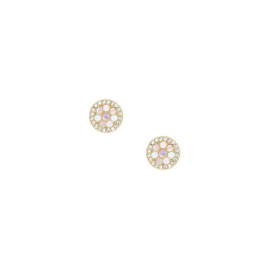 Fossil Mother Of Pearl JF04344710