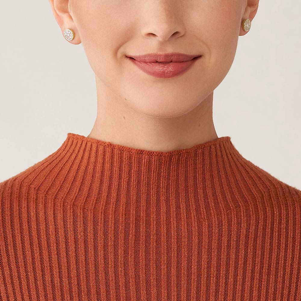 Fossil Mother Of Pearl JF04344710