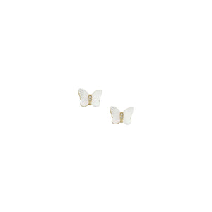 Fossil Mother Of Pearl JF04422710