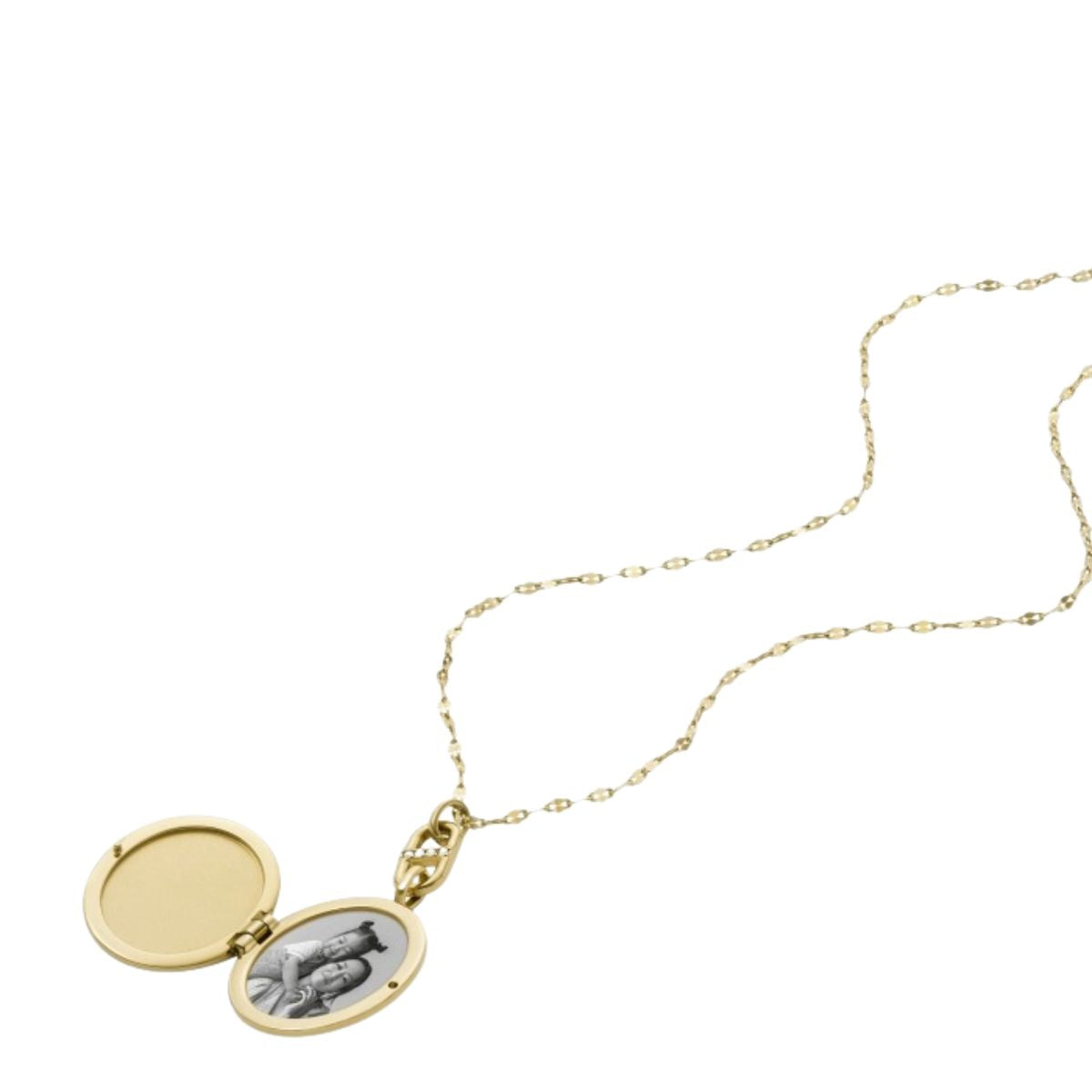 Fossil Heritage JF04426710