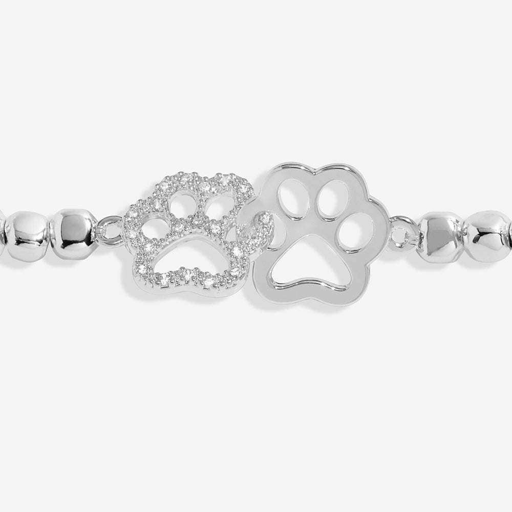 Joma Jewellery Pets JJ9350