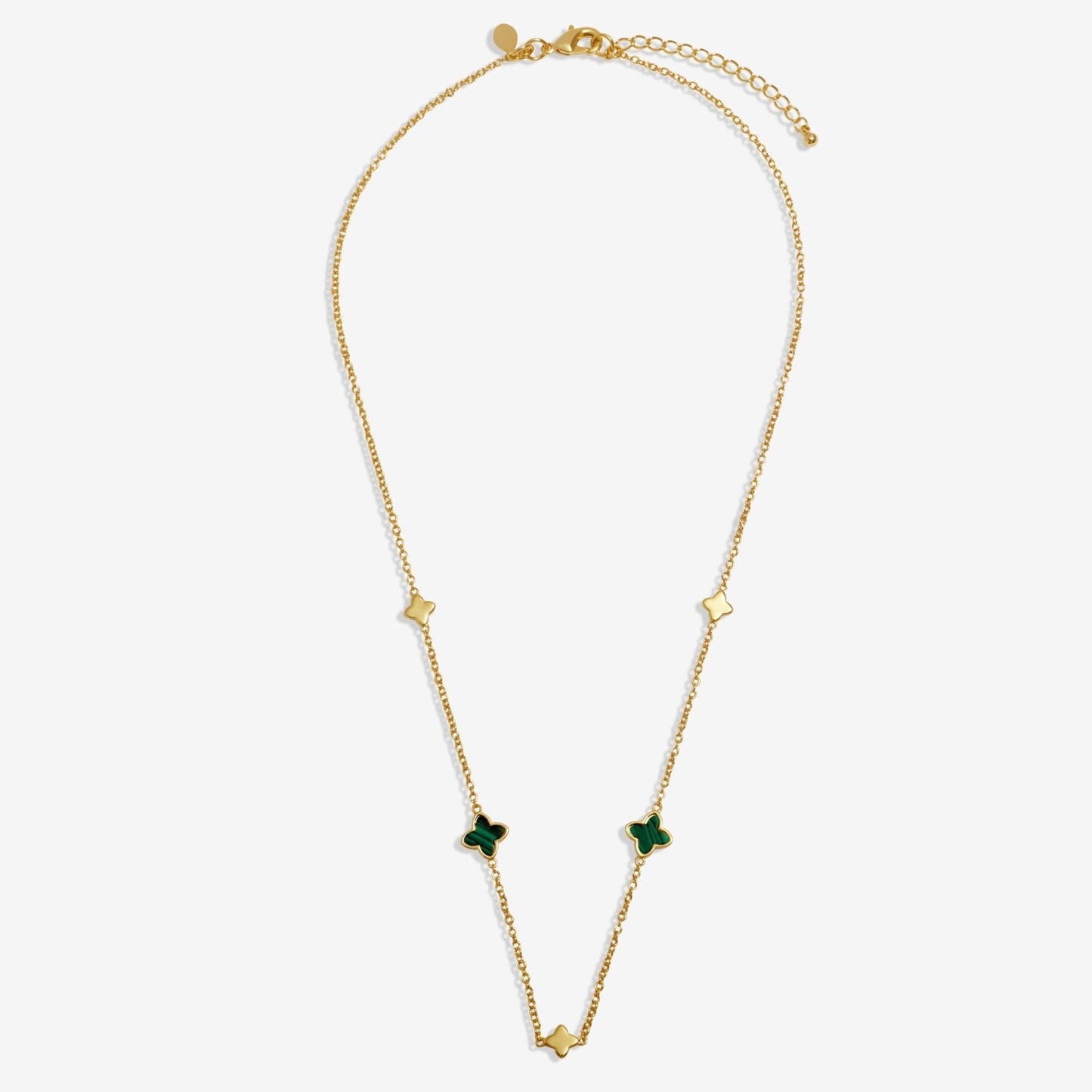 Joma Jewellery Gift JJ9918