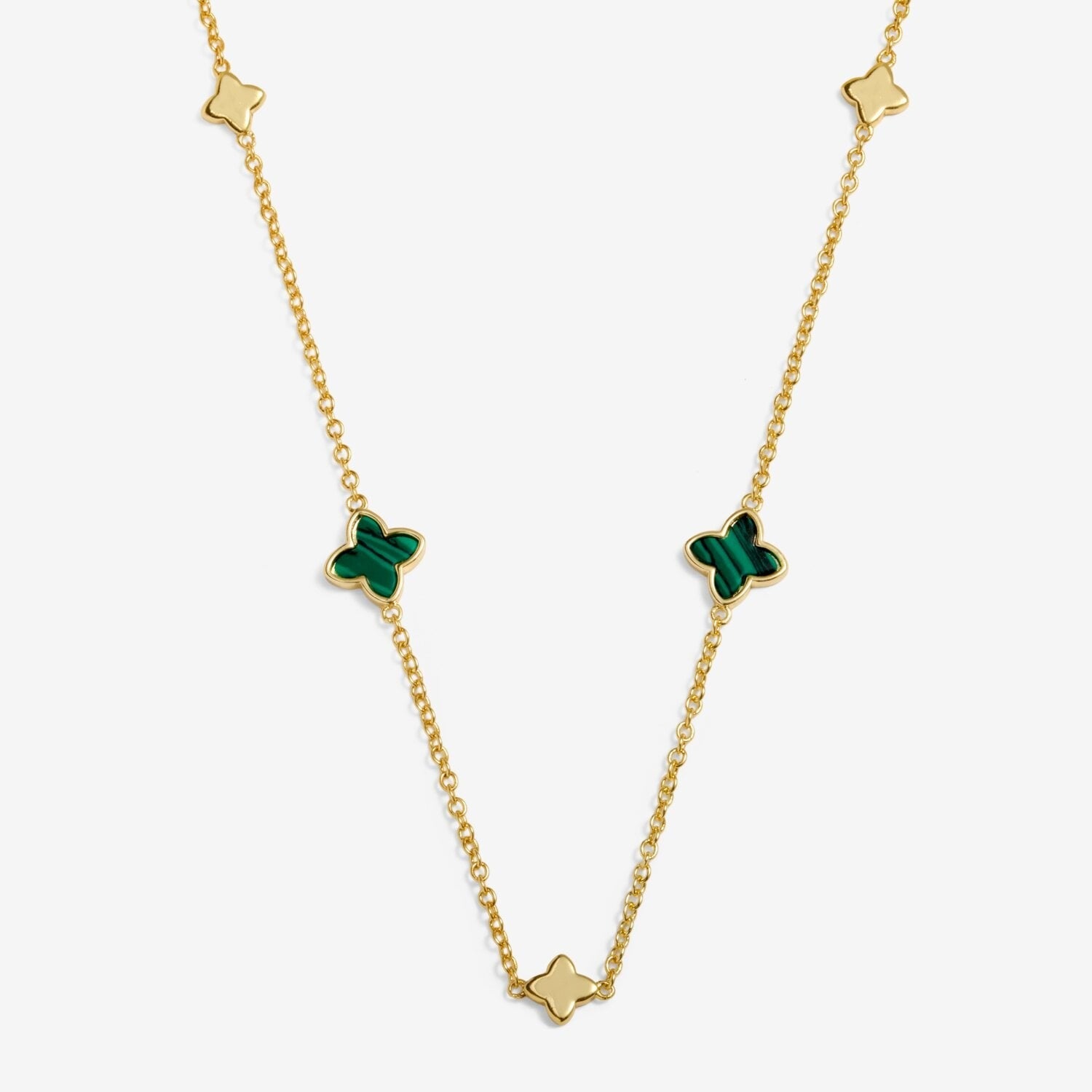 Joma Jewellery Gift JJ9918