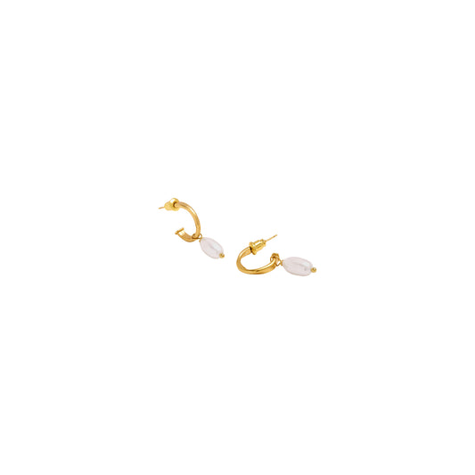 Katie Loxton KLJ6352