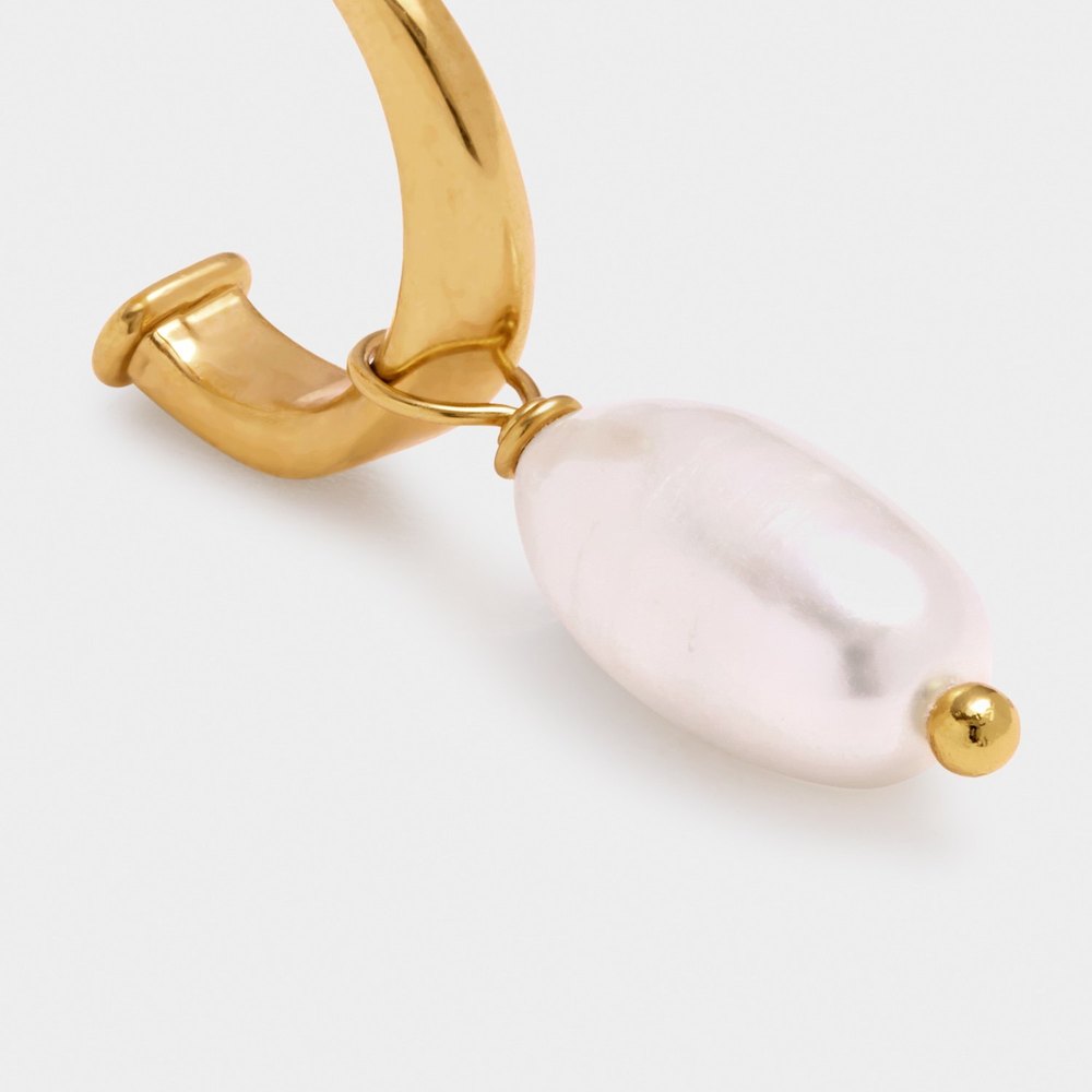 Katie Loxton KLJ6352
