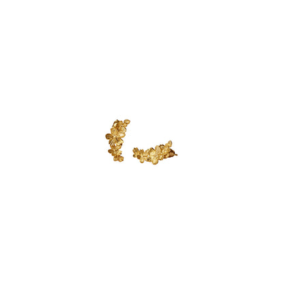 Katie Loxton KLJ6528