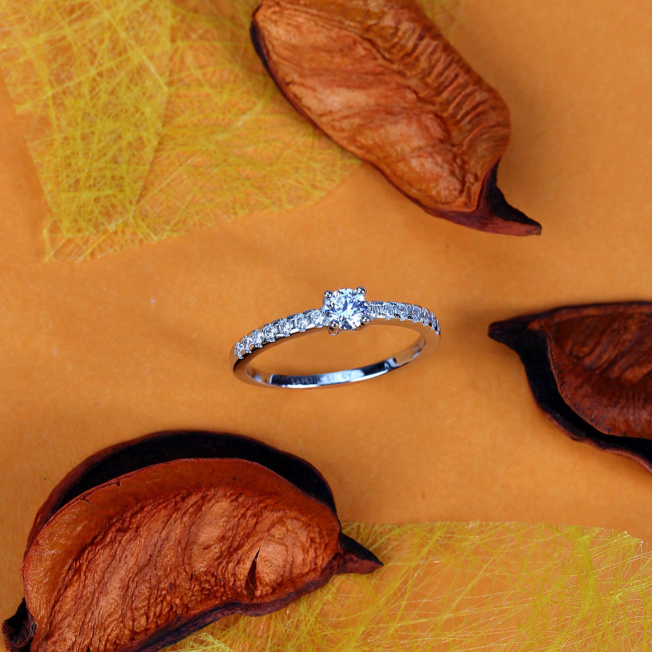 La Petite Story LPS03AWV05012