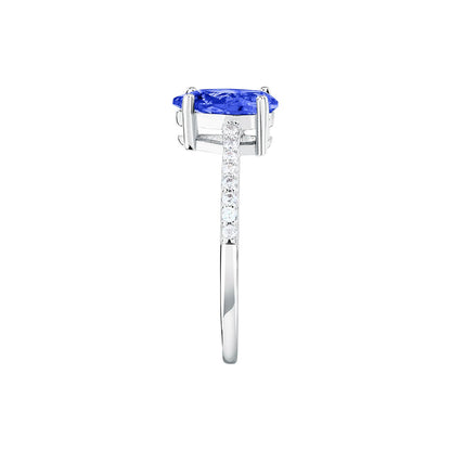 Morellato SAIW204014
