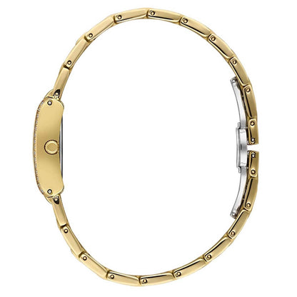 Santa Barbara SB110611-3